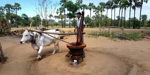 Business outlook in Myanmar