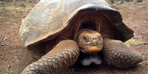 Galapagos Island