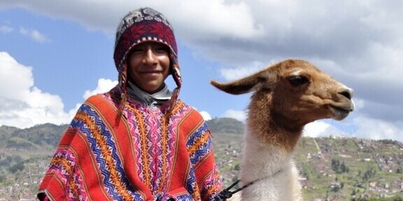 Sajama Park Bolivia